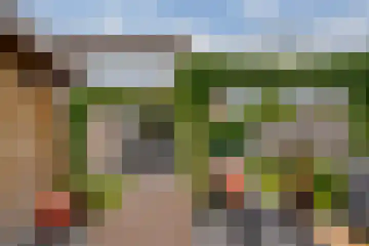 Mackayware 98 Zwolle thumbnail 4