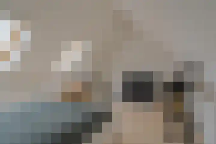 Mackayware 98 Zwolle thumbnail 41