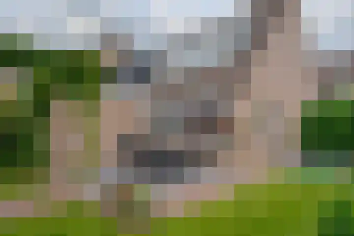 Mackayware 98 Zwolle thumbnail 43