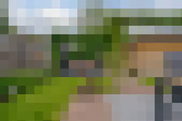 Mackayware 98 Zwolle thumbnail 45