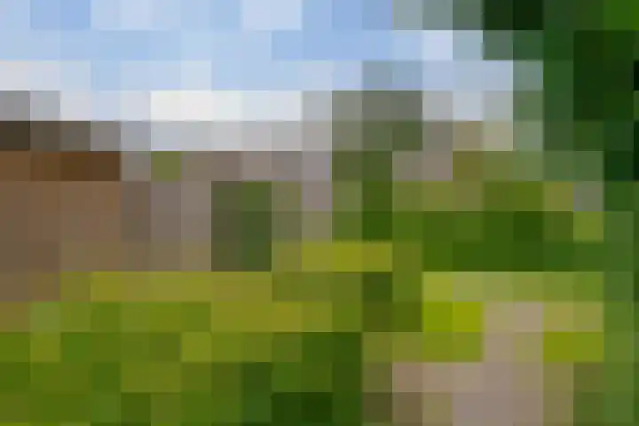 Mackayware 98 Zwolle thumbnail 50