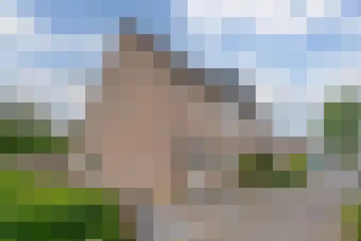 Mackayware 98 Zwolle thumbnail 52