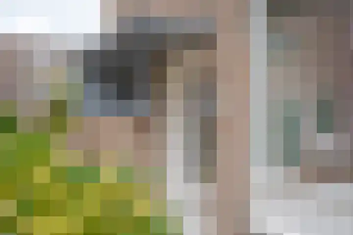 Mackayware 98 Zwolle thumbnail 8