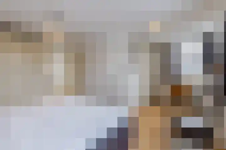 Madagaskar 3 Zaandam thumbnail 27