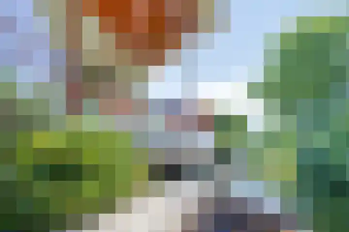 Madagaskarstraat 21 Almere thumbnail 46