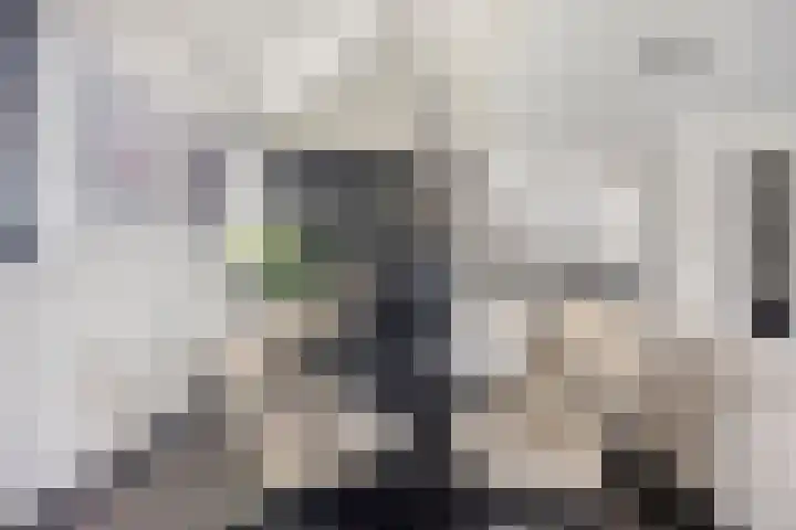 Madelief 11 Pijnacker thumbnail 10