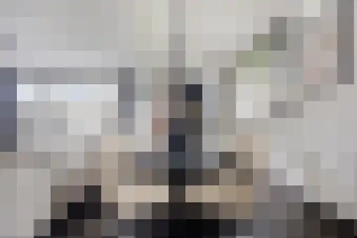 Madelief 11 Pijnacker thumbnail 12
