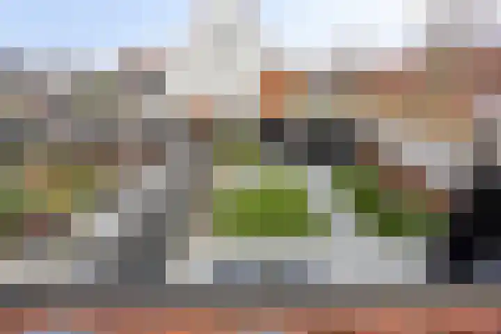 Madelief 11 Pijnacker thumbnail 22