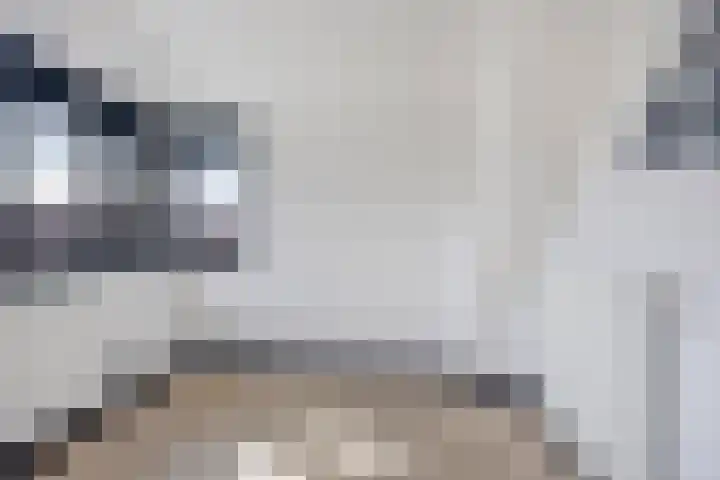 Madelief 11 Pijnacker thumbnail 24
