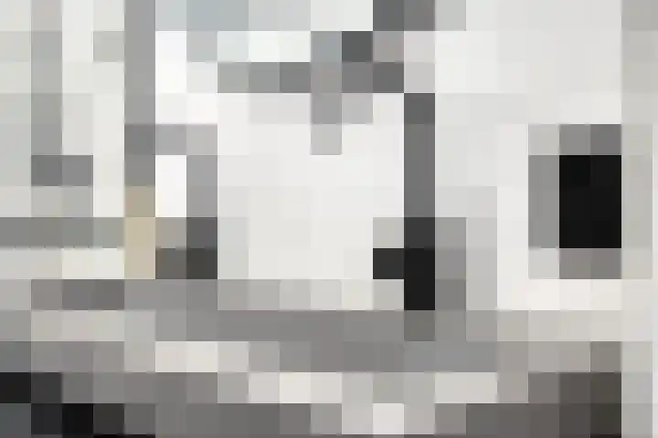 Madelief 11 Pijnacker thumbnail 29