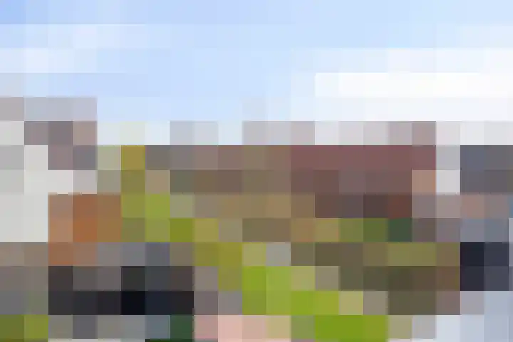 Madelief 11 Pijnacker thumbnail 33