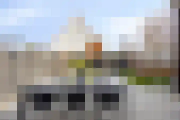 Madelief 11 Pijnacker thumbnail 34