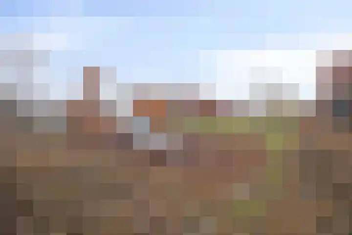 Madelief 11 Pijnacker thumbnail 39