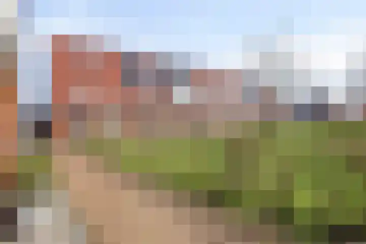 Madelief 11 Pijnacker thumbnail 4