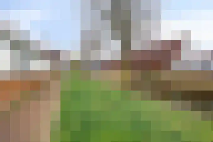 Madelief 11 Pijnacker thumbnail 40