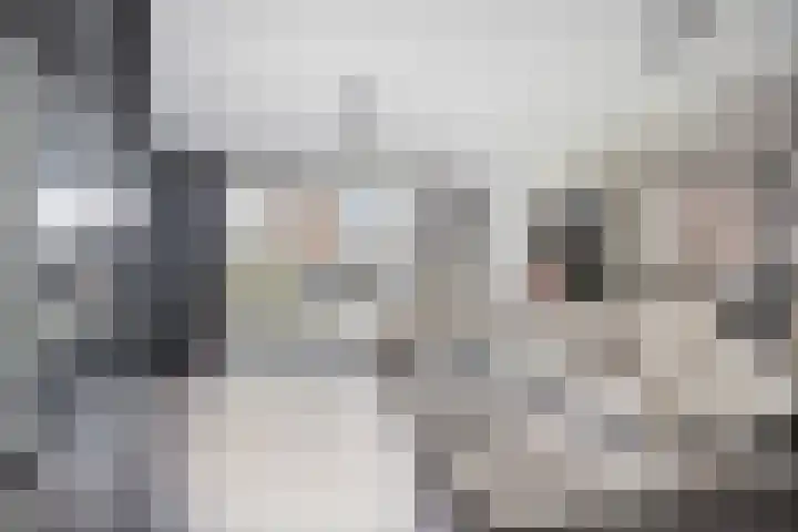 Madelief 11 Pijnacker thumbnail 7
