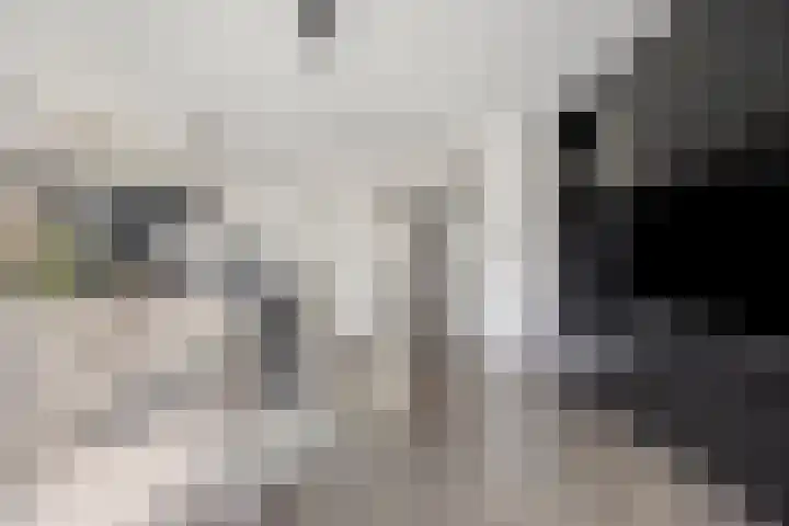 Madelief 11 Pijnacker thumbnail 8
