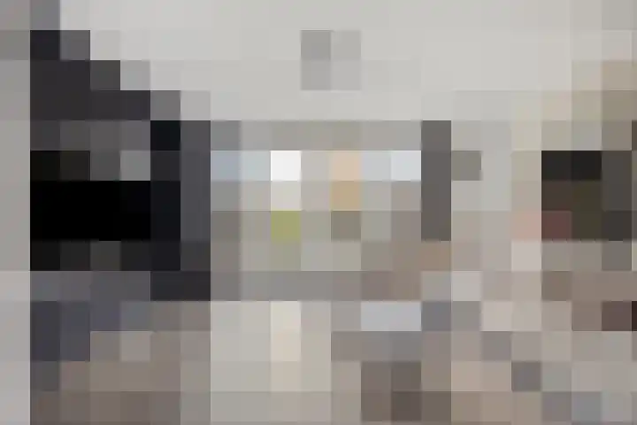 Madelief 11 Pijnacker thumbnail 9