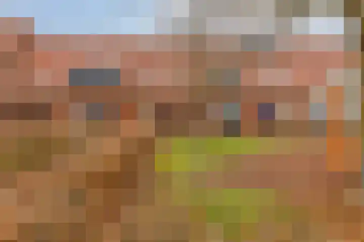 Madelief 34 Pijnacker