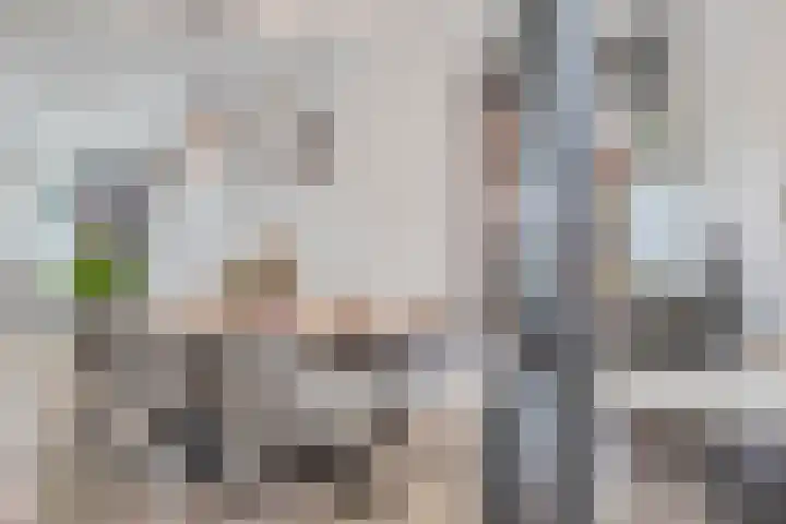 Madelief 34 Pijnacker thumbnail 18