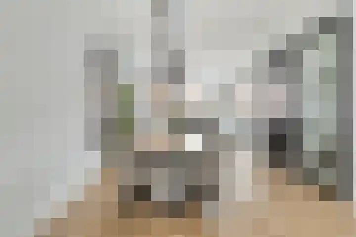 Madelief 34 Pijnacker thumbnail 19