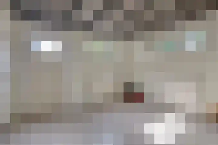 Madelief 34 Pijnacker thumbnail 20