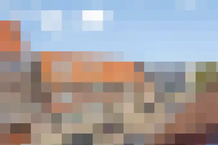 Madelief 34 Pijnacker thumbnail 30