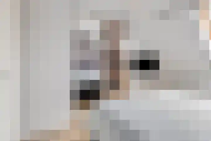Madelief 34 Pijnacker thumbnail 31