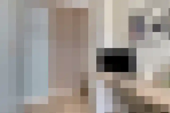 Madelief 34 Pijnacker thumbnail 37