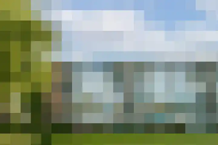 Madelief 34 Pijnacker thumbnail 4