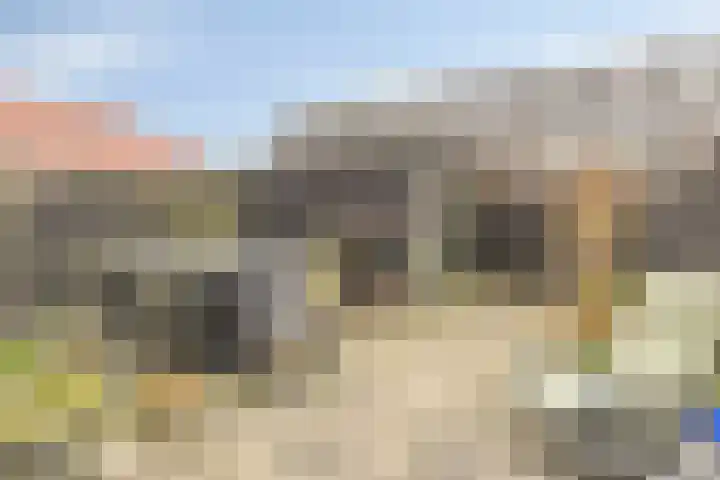 Madelief 34 Pijnacker thumbnail 4