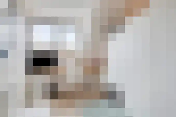 Madelief 34 Pijnacker thumbnail 42