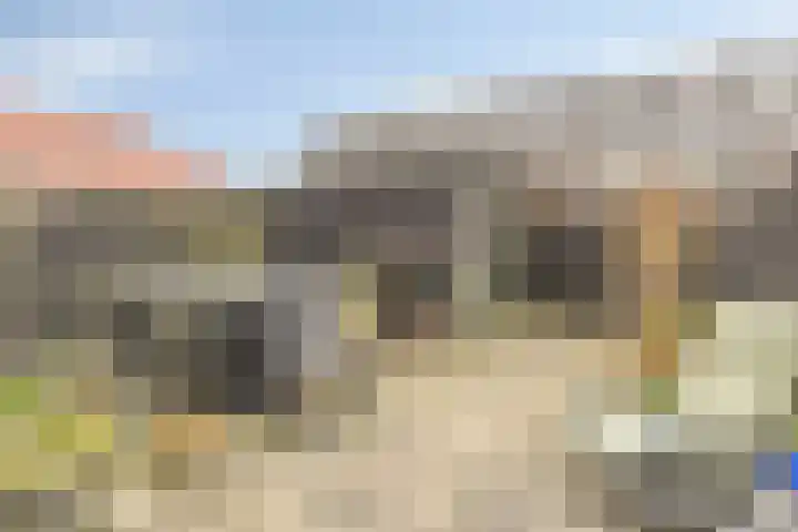 Madelief 34 Pijnacker thumbnail 44