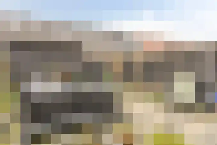 Madelief 34 Pijnacker thumbnail 45