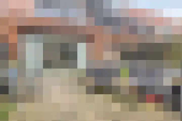 Madelief 34 Pijnacker thumbnail 47