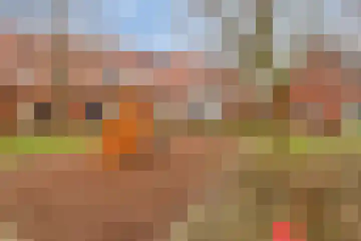 Madelief 34 Pijnacker thumbnail 48