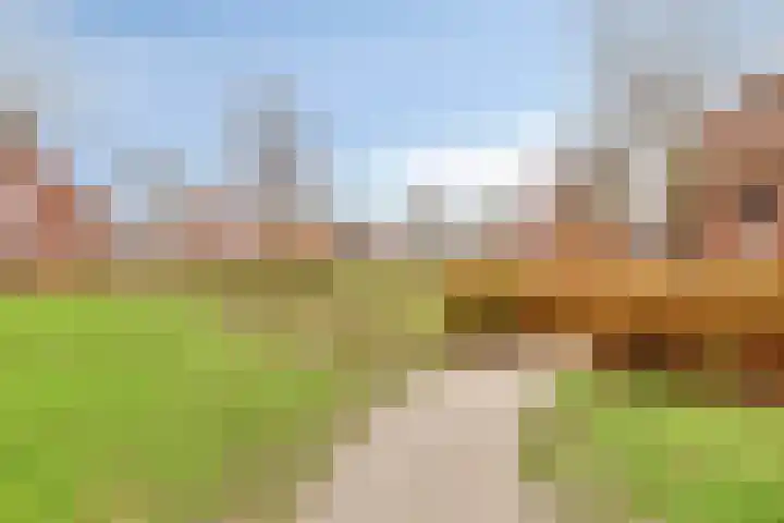 Madelief 34 Pijnacker thumbnail 49