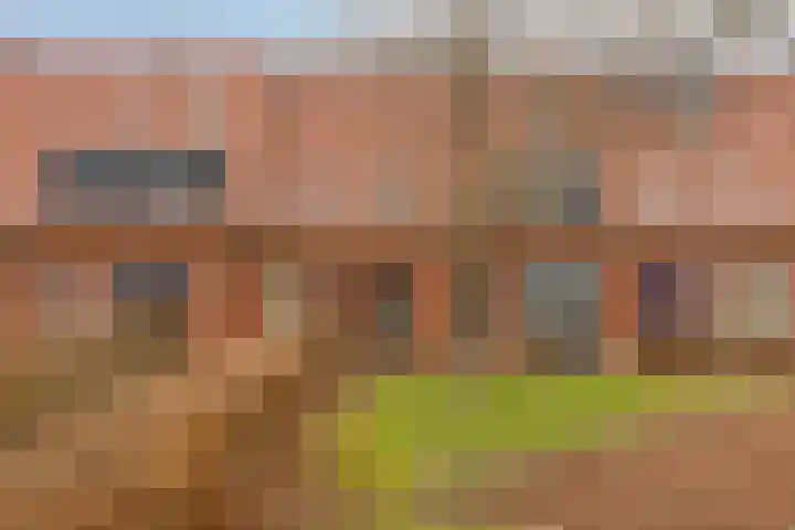 Madelief 34 Pijnacker thumbnail 5