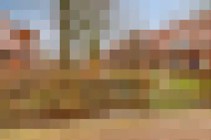 Madelief 34 Pijnacker thumbnail 50