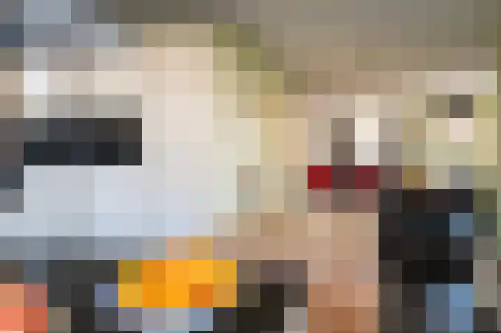 Madelief 34 Pijnacker thumbnail 53