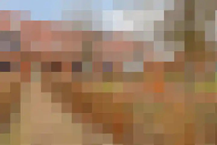 Madelief 34 Pijnacker thumbnail 6