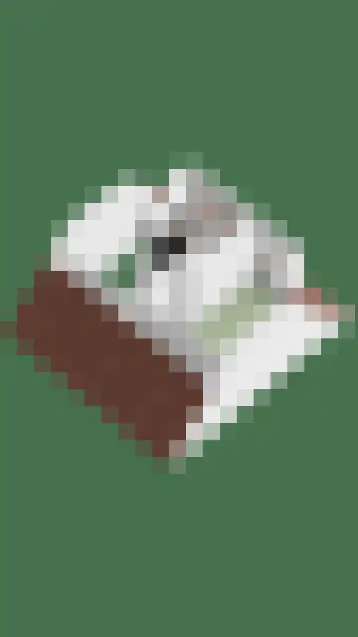 Madelief 34 Pijnacker thumbnail 60