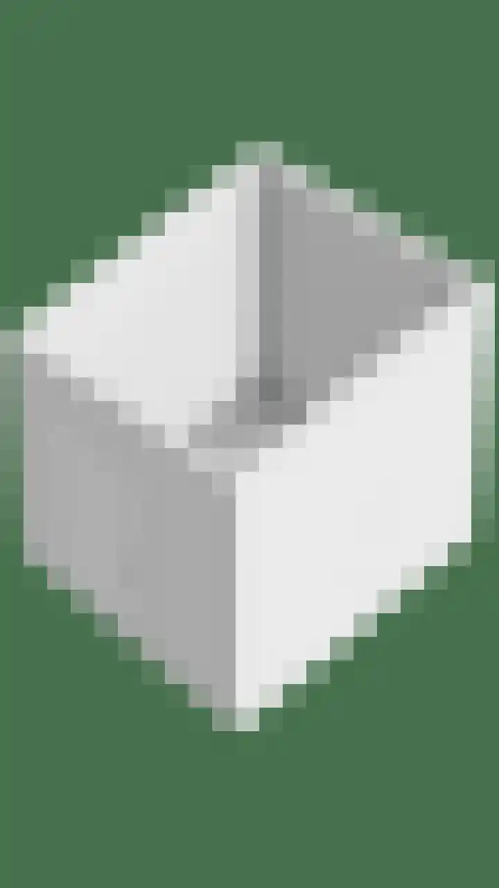 Madelief 34 Pijnacker thumbnail 62