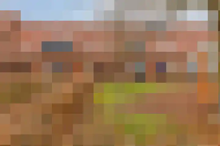 Madelief 34 Pijnacker thumbnail 7