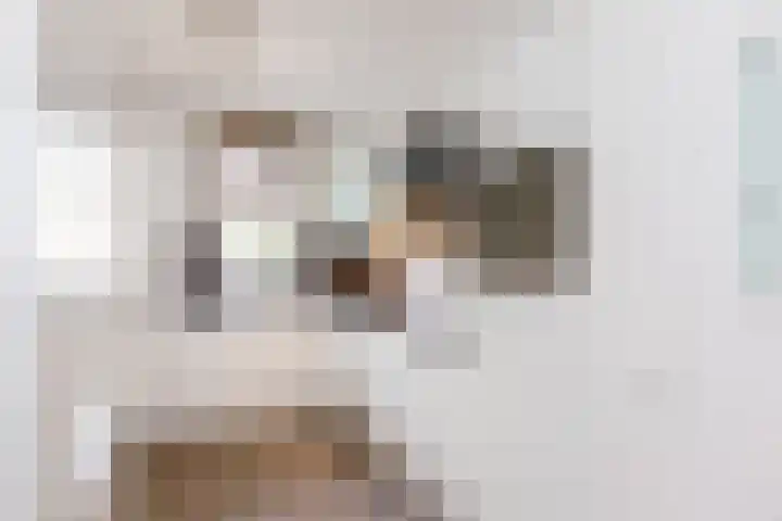 Madelief 6 Bodegraven thumbnail 12