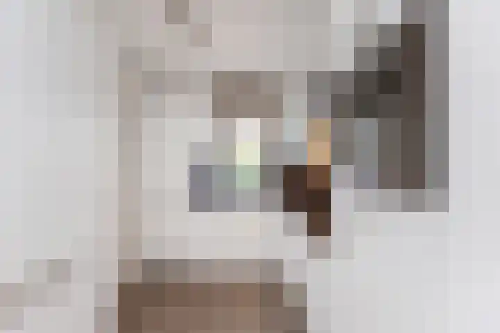 Madelief 6 Bodegraven thumbnail 13