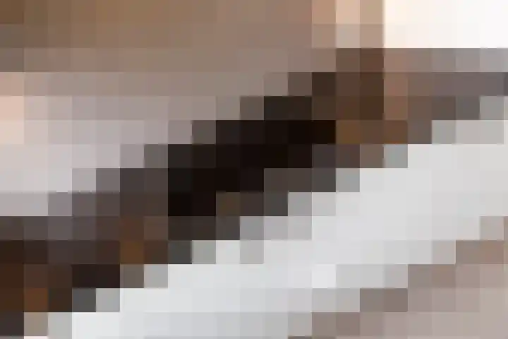 Madelief 6 Bodegraven thumbnail 14