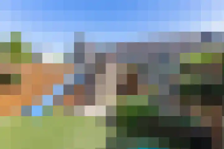 Madelief 6 Bodegraven thumbnail 17