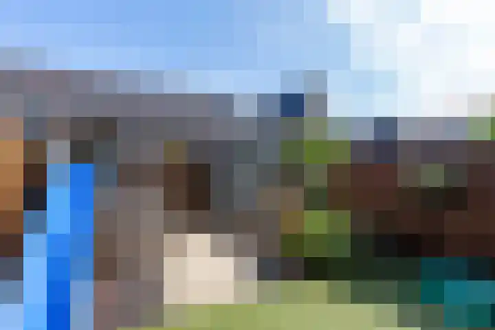 Madelief 6 Bodegraven thumbnail 18