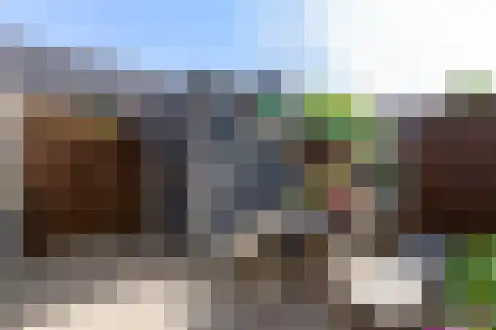 Madelief 6 Bodegraven thumbnail 19